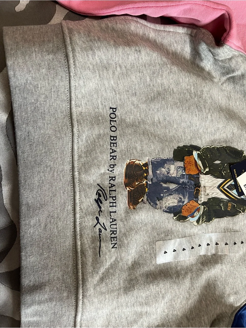 Ralph Lauren Colorblock Polo Bear Hoodie - Gray, Green, Blue, Pink